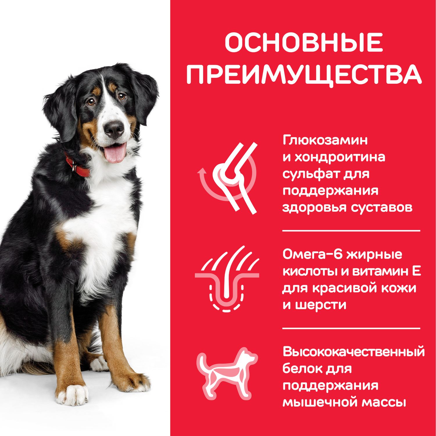 Корм для собак HILLS 2.5кг для крупных пород для поддержания здоровья суставов и мышечной массы с курицей сухой - фото 5
