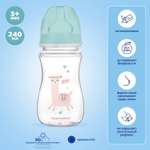 Бутылочка Canpol Babies 240 мл