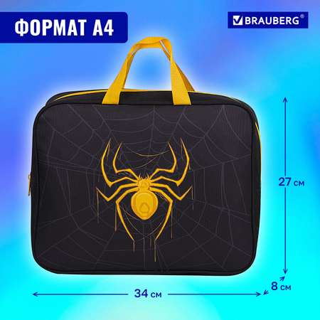 Папка-сумка Brauberg портфель для бумаг с ручками на молнии