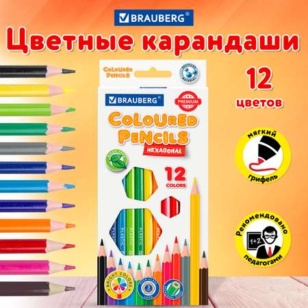 Карандаши цветные Brauberg 12 шт.