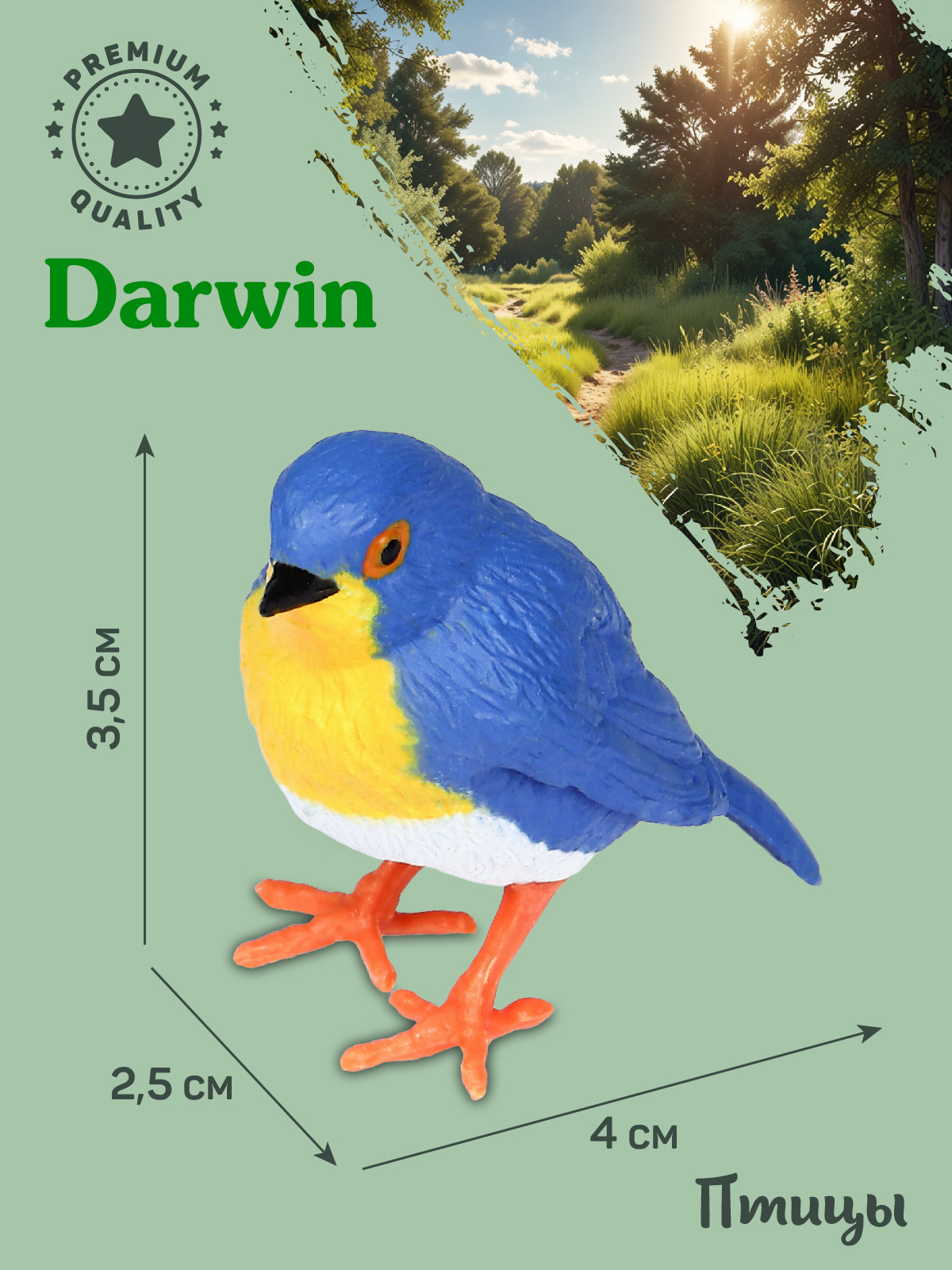 Фигурка DARWIN Птицы Малиновка - фото 3