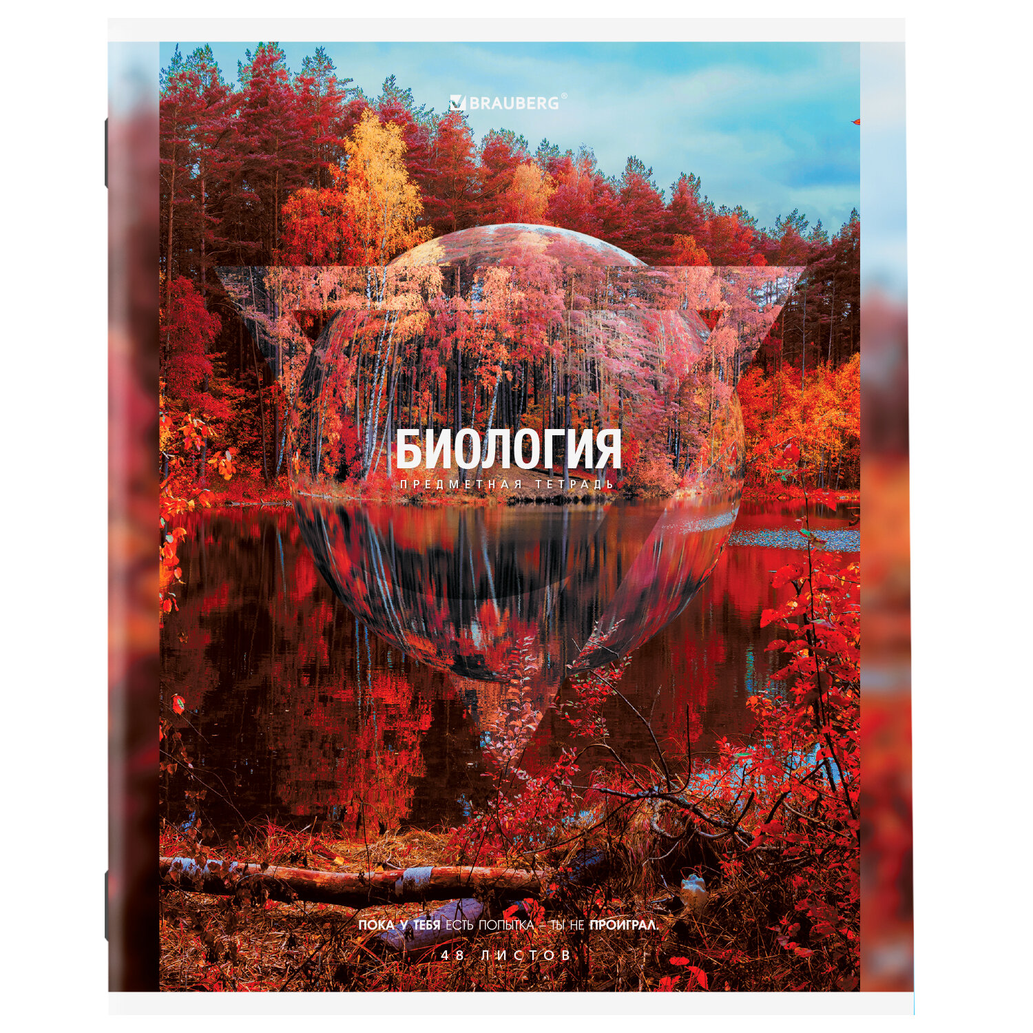 Тетрадь Brauberg 48 лист. 12 шт. - фото 7