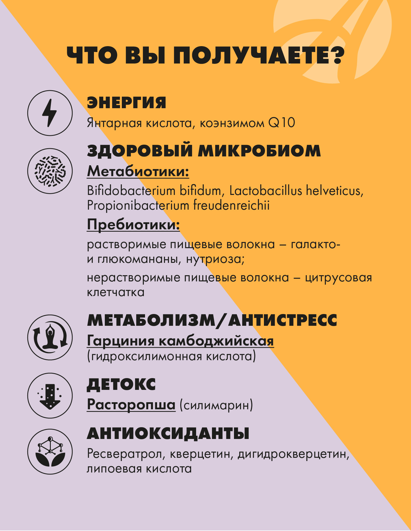 БАД Арт Лайф Виталити Фуд эссеншл Питание для похудения - фото 4