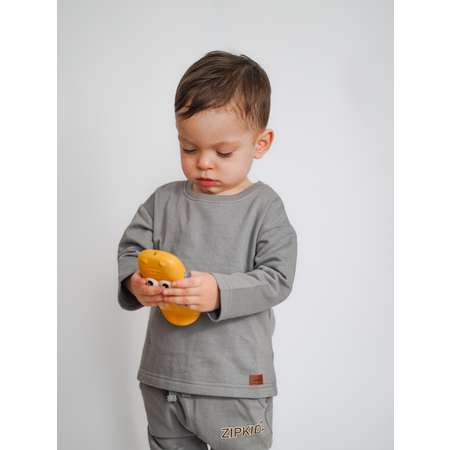 Лонгслив и брюки ZipkidZ