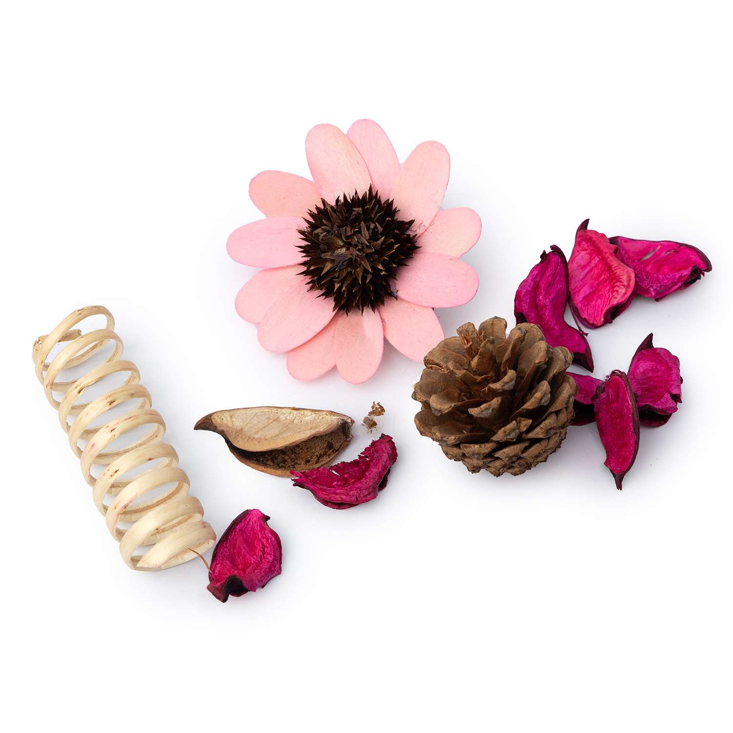 Набор сухоцветов ё Большой в ассортименте - фото 3