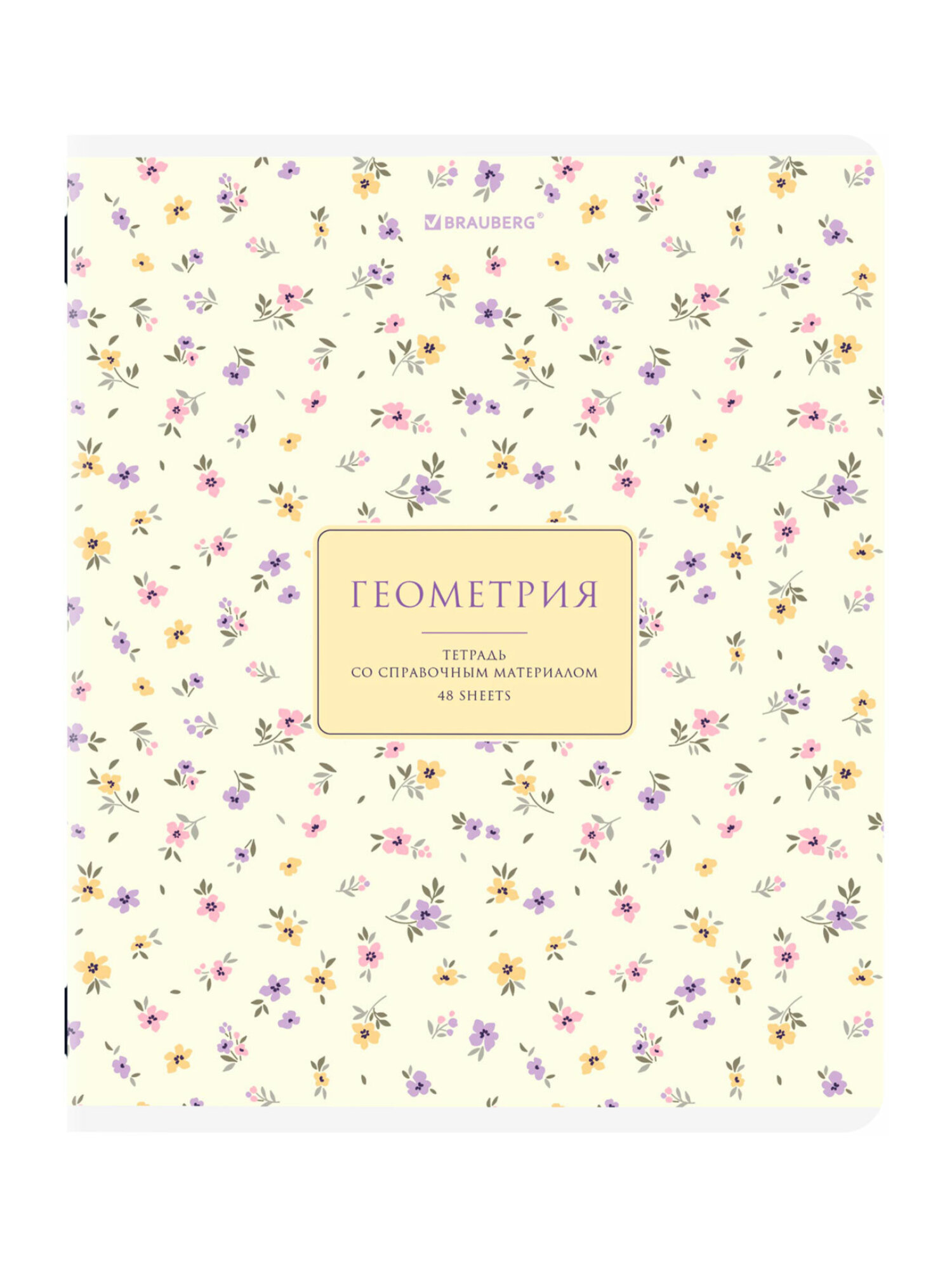 Тетрадь Brauberg 48 лист. 12 шт. - фото 12