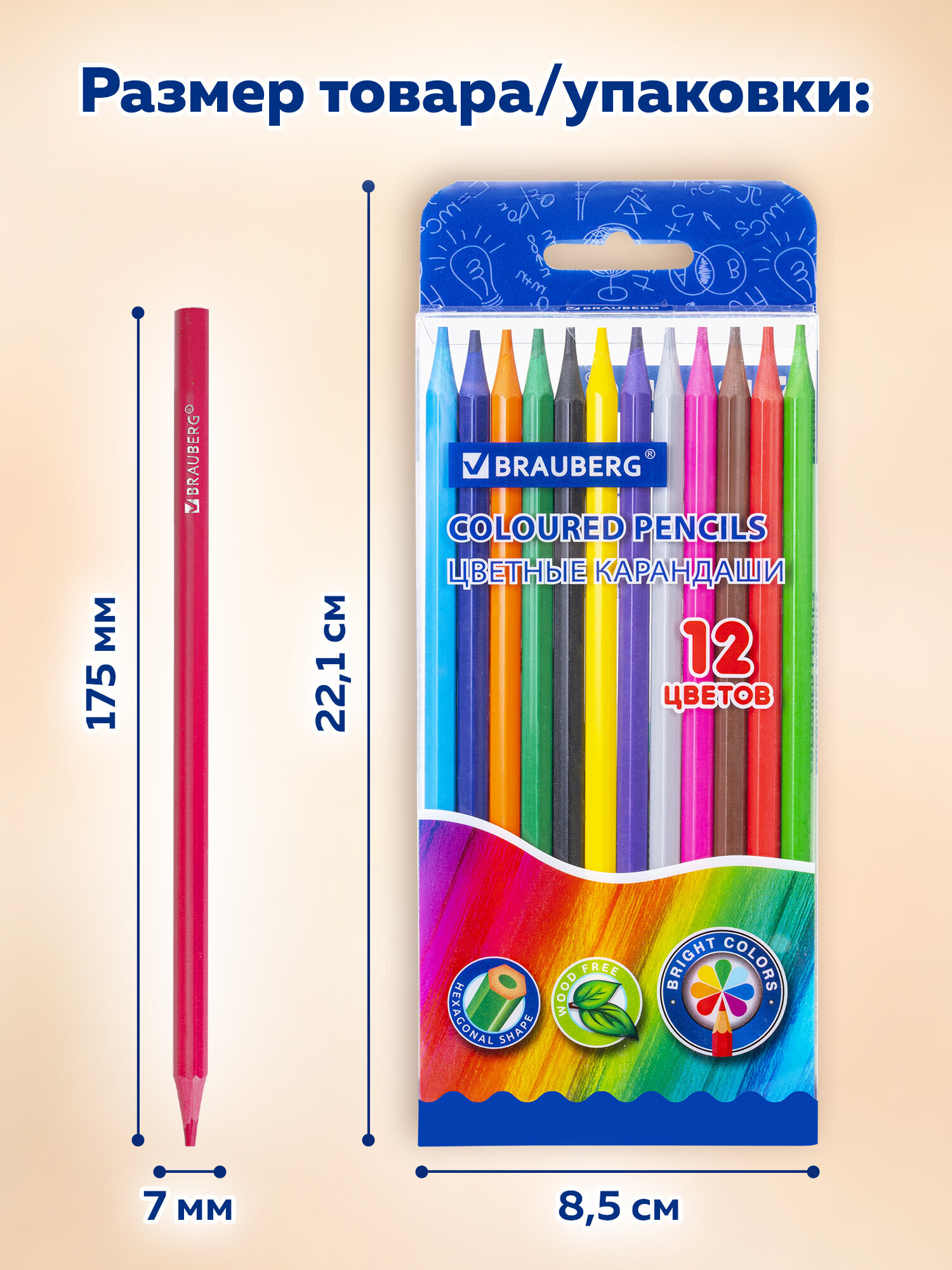Карандаши цветные Brauberg 12 шт. - фото 6