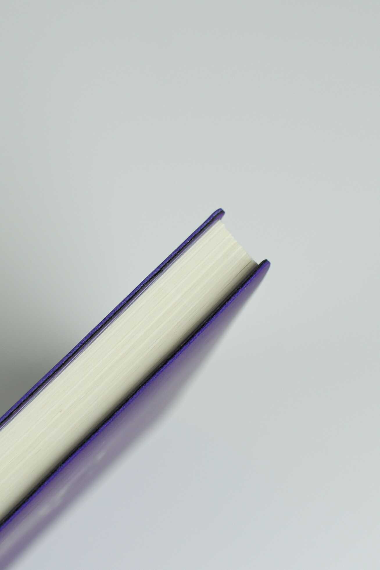 Ежедневник Феникс + ESCALADA 120 лист. - фото 8