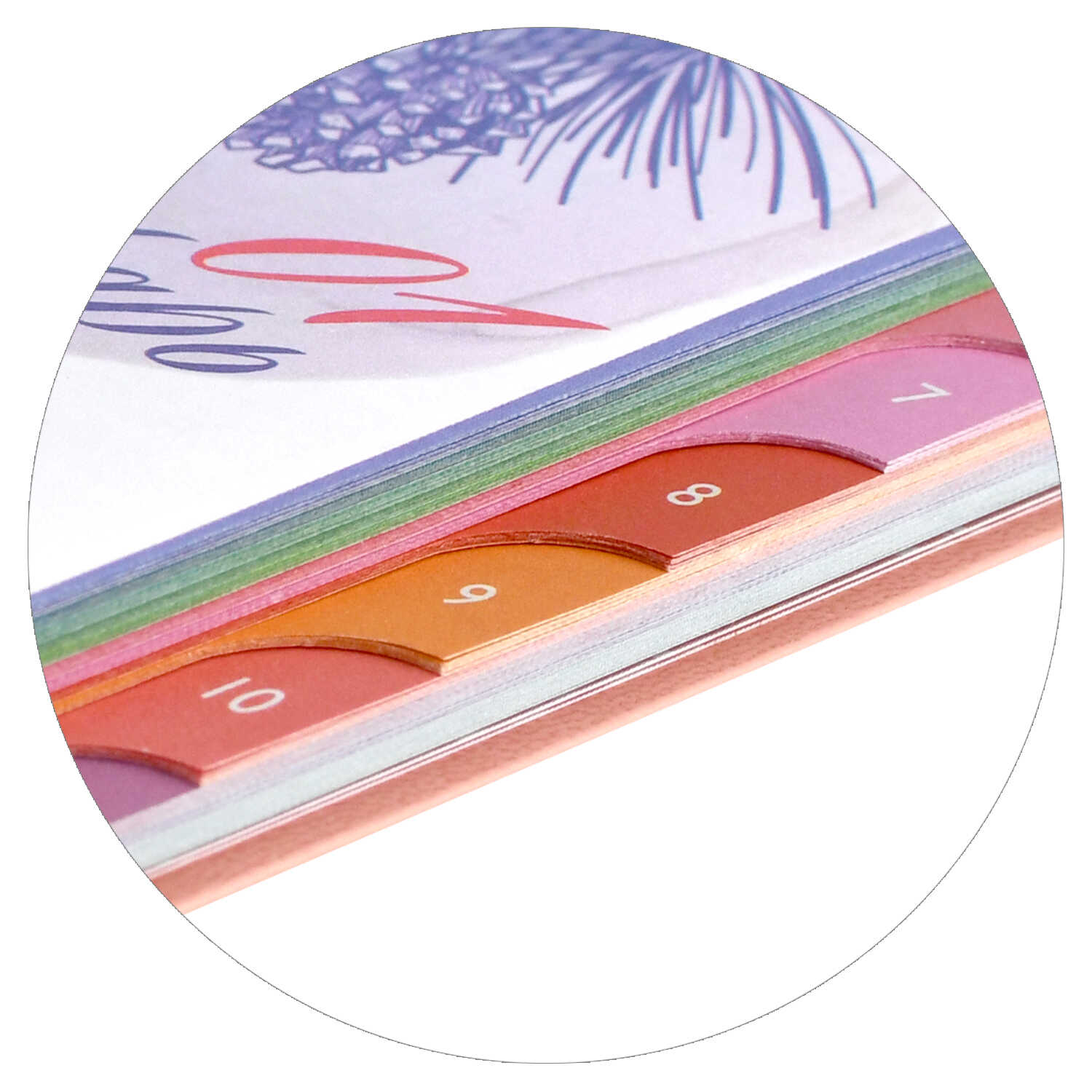 Ежедневник Феникс + ESCALADA 96 лист. - фото 5