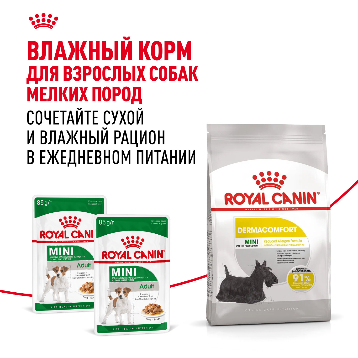 Корм для собак ROYAL CANIN Mini Dermacomfort при раздраженной и зудящей коже 3кг - фото 9