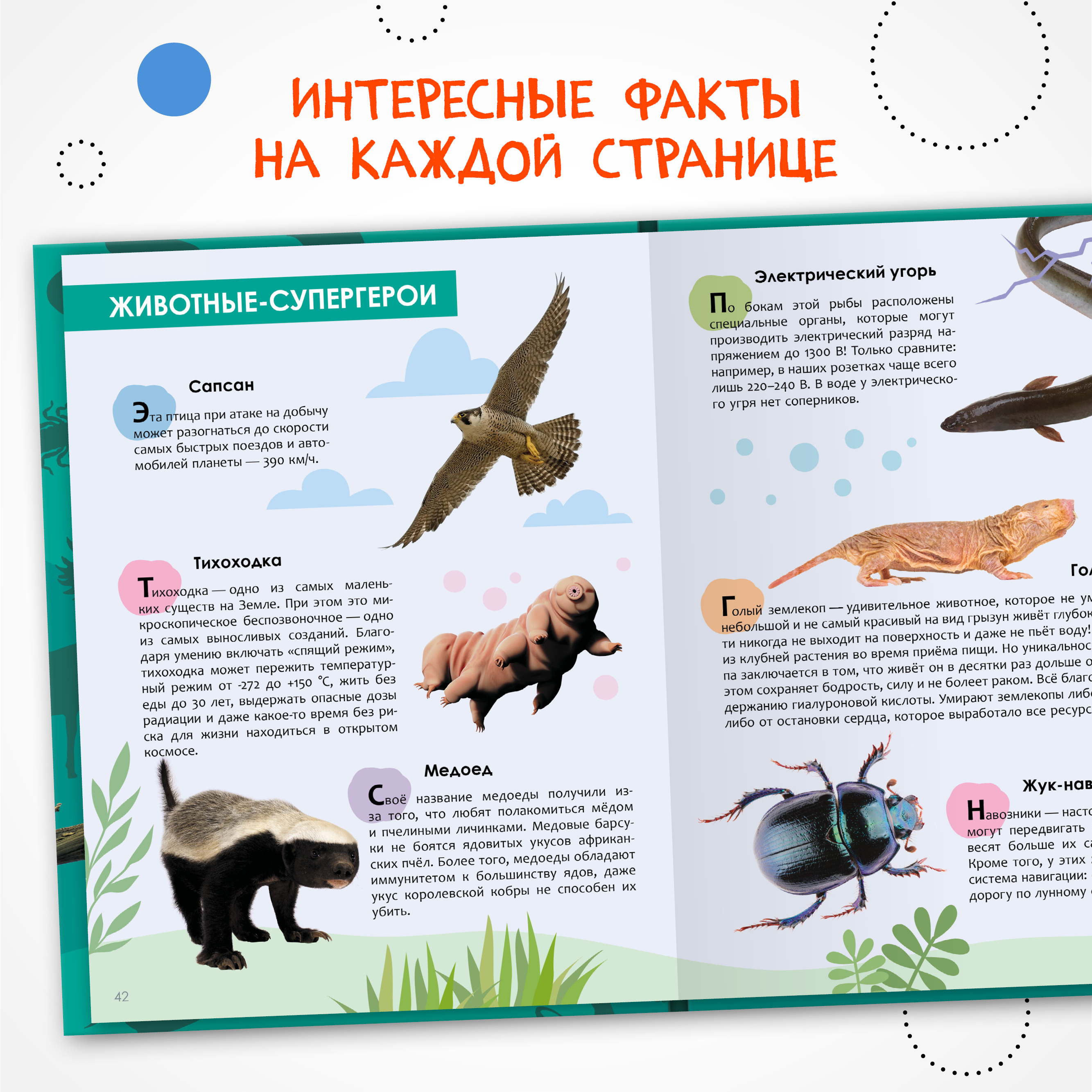 Набор МОЗАИКА kids Детские энциклопедии о животных (Животные, Красеая книга) - фото 10
