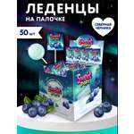 Леденцы на палочке Сладкая сказка SWEET POPS Северная черника 10г х 50 шт