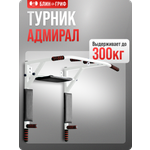 Спортивный турник БлинДаГриф 3в1