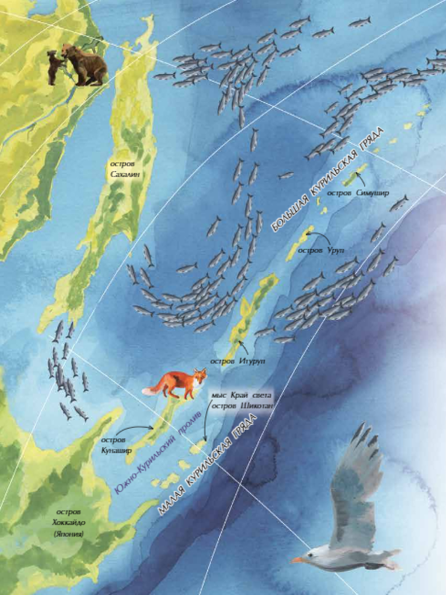 Книга для детей Настя и Никита развитие детей - фото 3