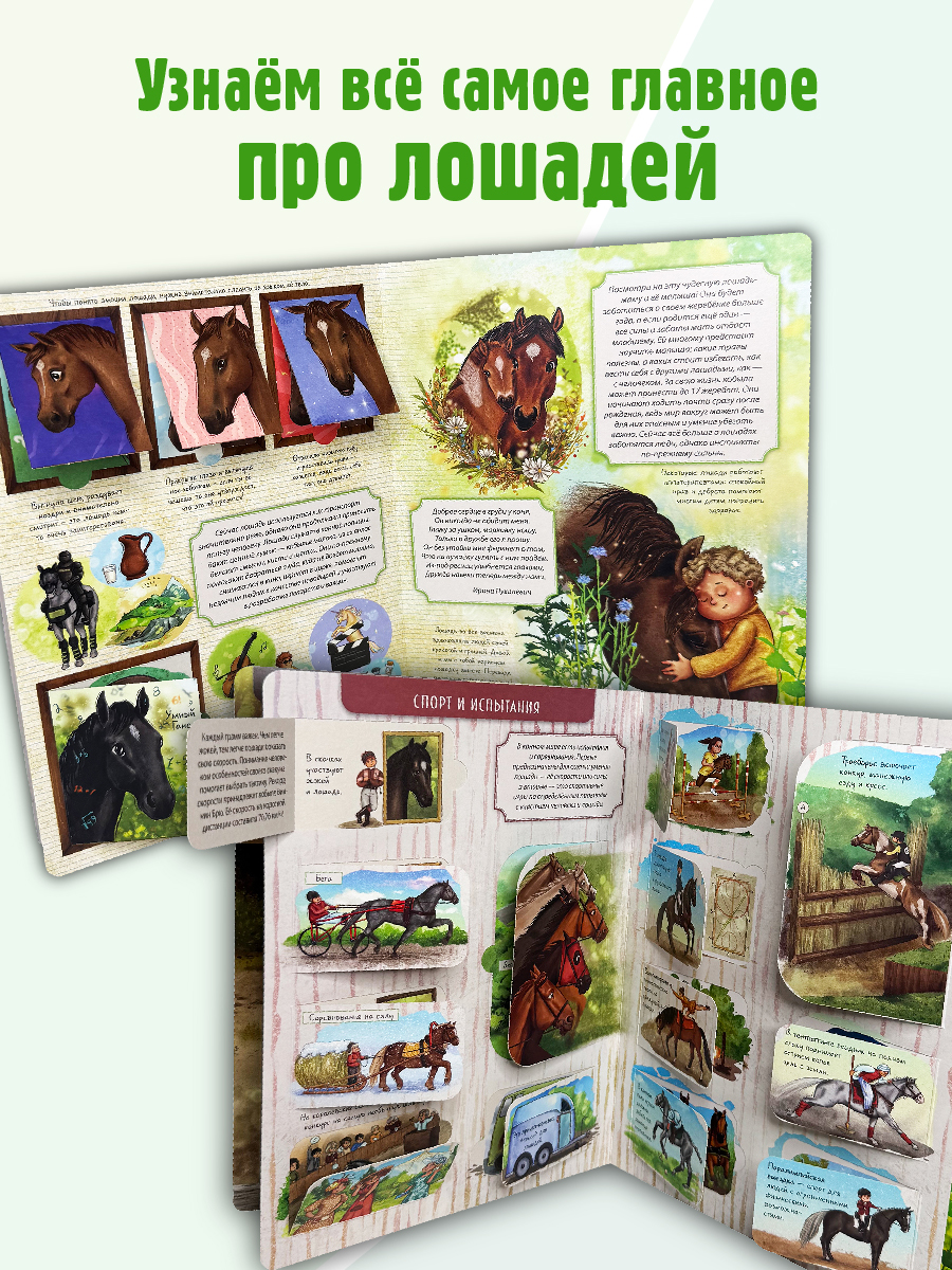 Энциклопедия с окошками БимБиМон книга детская - фото 2