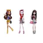 Кукла модельная Monster High в ассортименте
