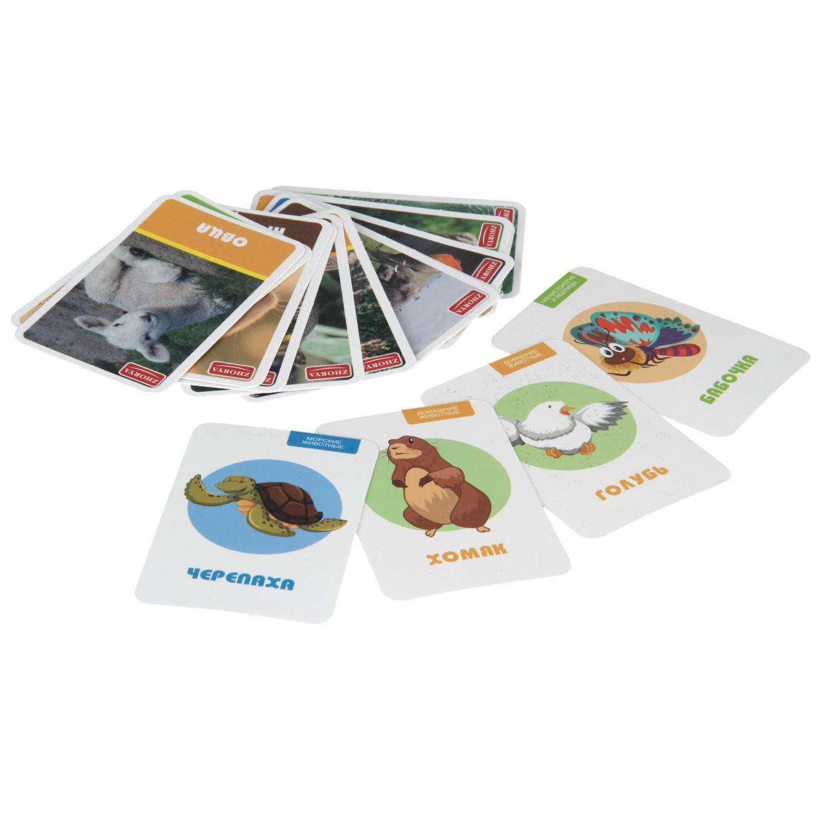 Робот РУ Veld Co - фото 19