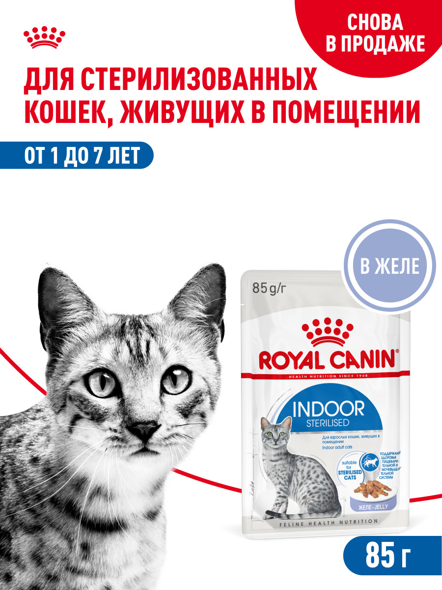 Корм влажный ROYAL CANIN Indoor Sterilised для кошек стерилизованных кусочки в желе - фото 1