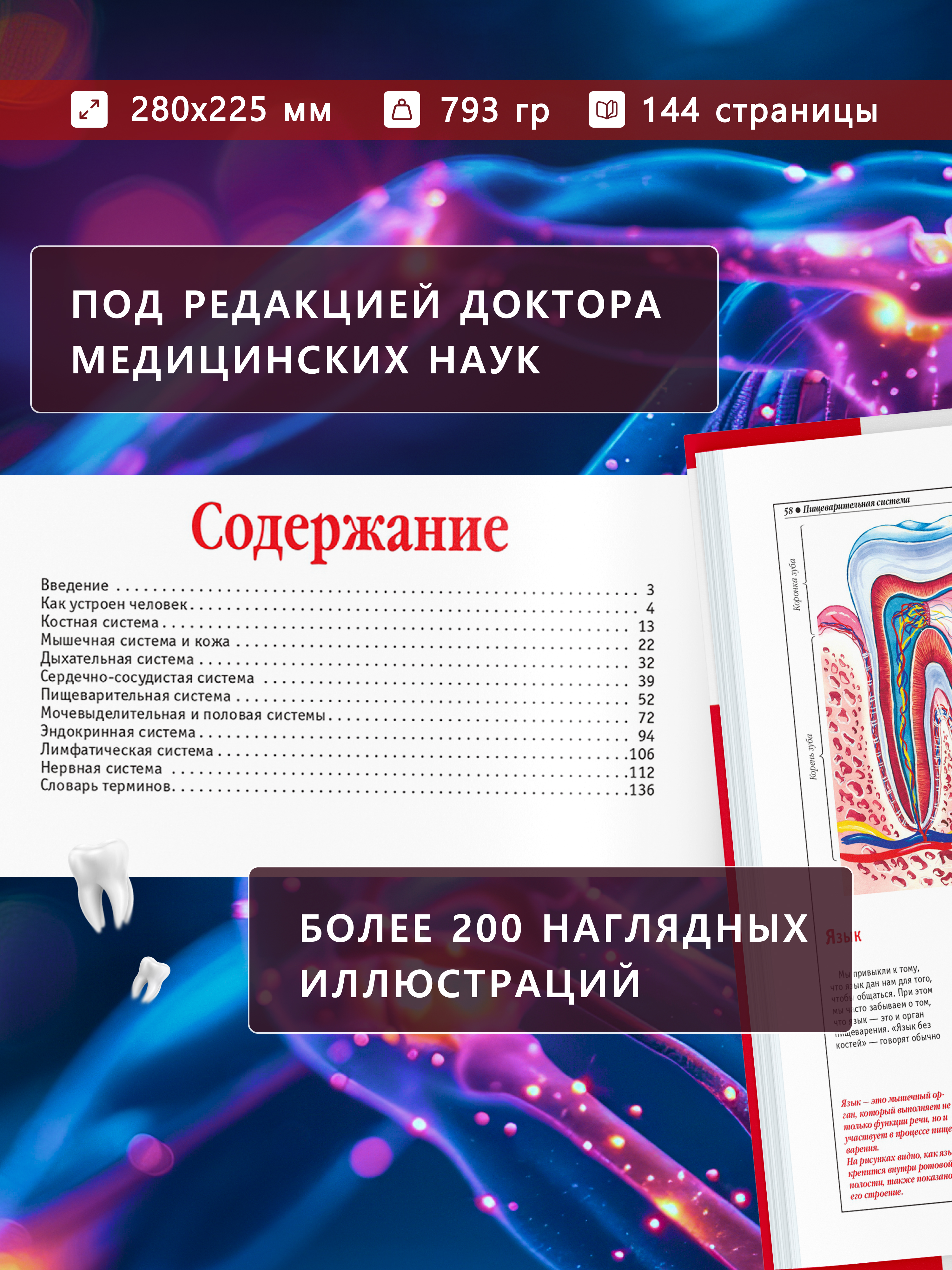 Книга Атлас анатомии человека Харвест основы строения и физиология - фото 3