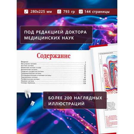 Книга Атлас анатомии человека Харвест основы строения и физиология
