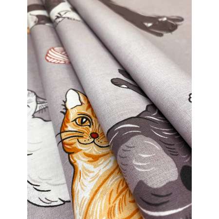 Комплект наволочек Сказка. Kitties 40x60 см 2 шт на молнии