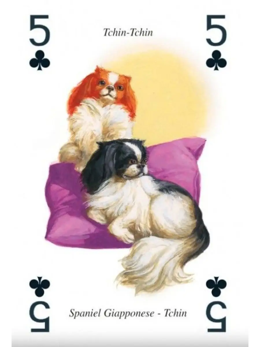 Настольная игра Lo Scarabeo Alice Playing Cards - фото 6