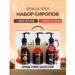 Набор сиропов SPOOM Соленая карамель Амаретто Шоколад для кофе 3 шт по 250 мл + 3 дозатора