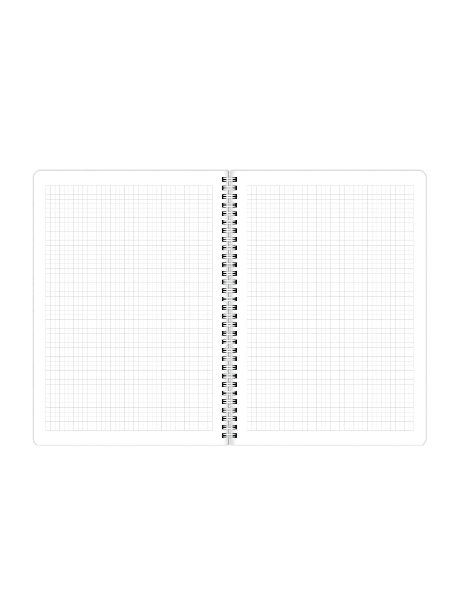 Общая тетрадь Brauberg клетка 96 лист. 2 шт. - фото 6