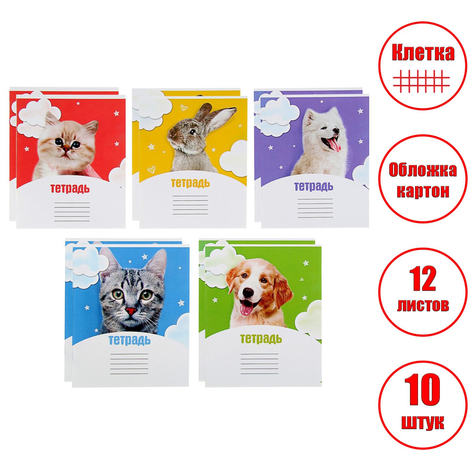 Тетрадь Calligrata клетка 12 лист. 10 шт. - фото 2