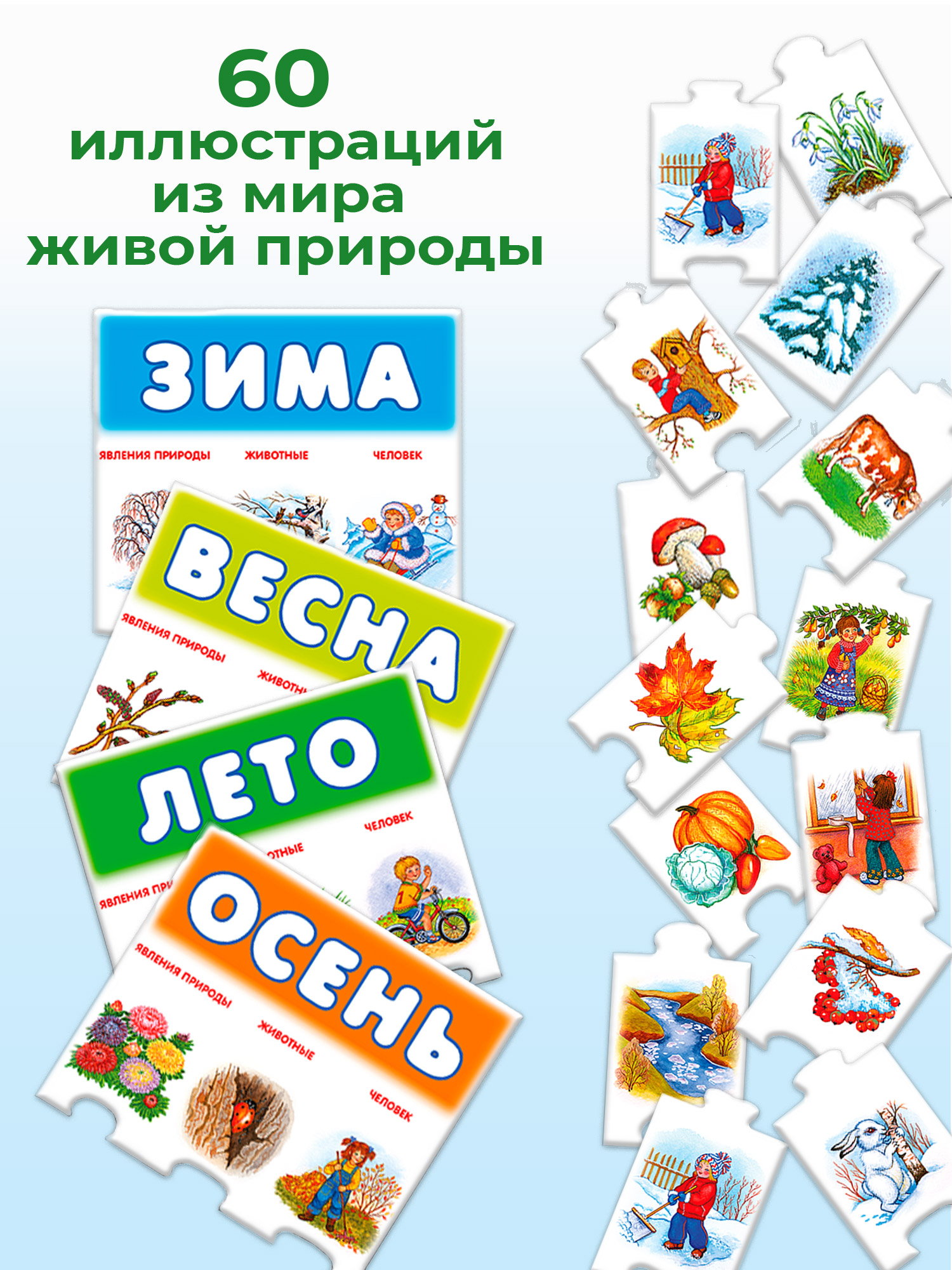 Игра развивающая Дрофа-Медиа Времена года 1117 - фото 4