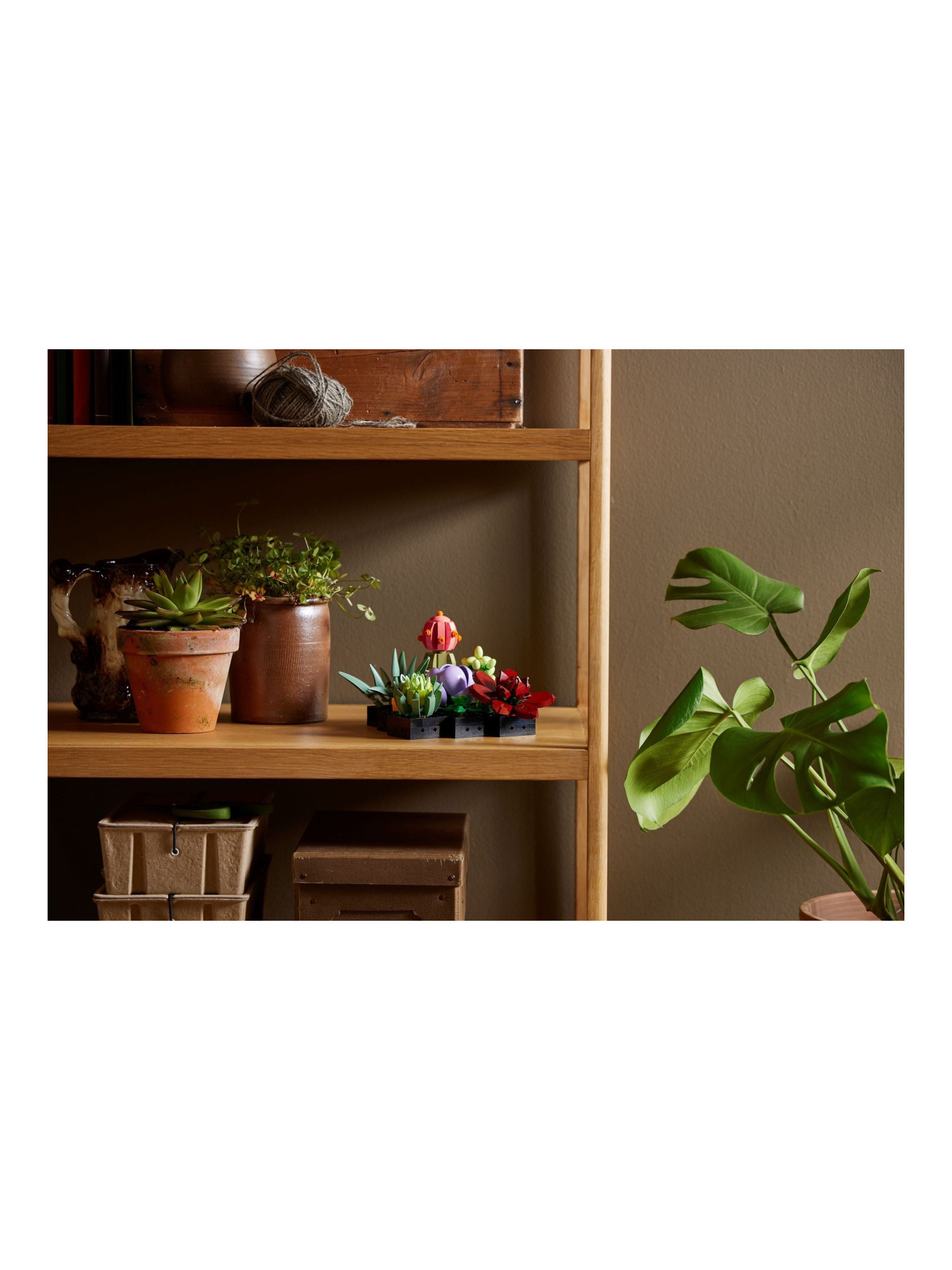 Конструктор LEGO Icons Суккуленты 771 дет. - фото 8