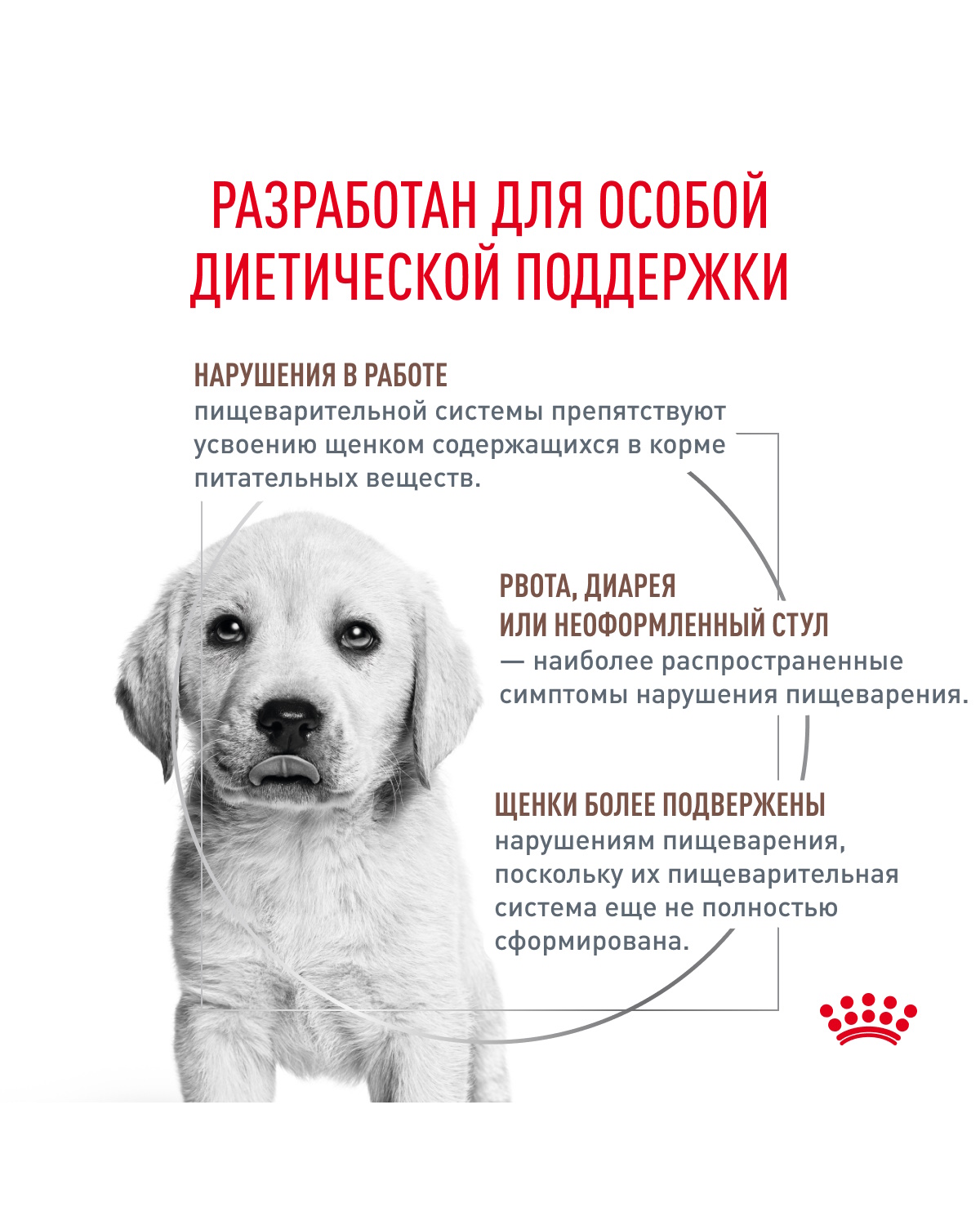 Корм для щенков ROYAL CANIN Gastro Intestinal Junior GIJ29 при нарушениях пищеварения 10кг - фото 2