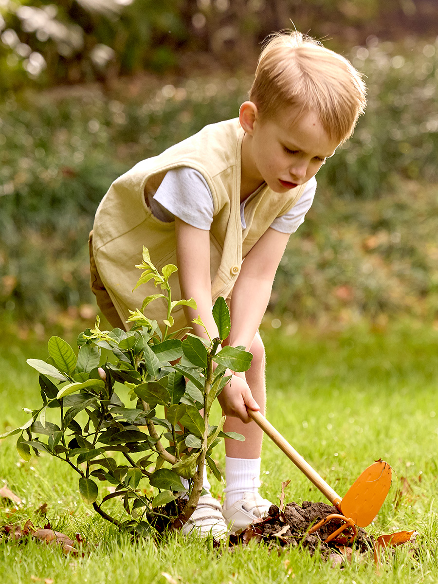 Грабли Hape - фото 4