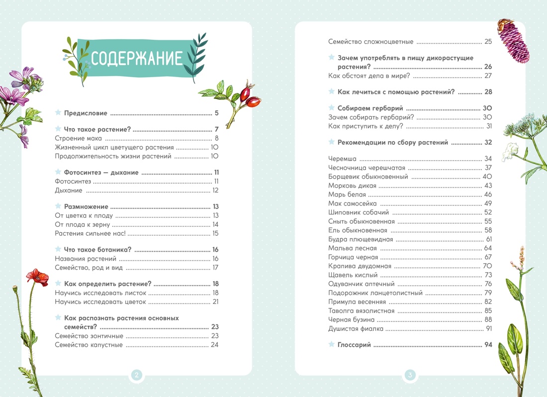 Книга Махаон Весь мир природы для школьника. Большой комплект из 5 книг - фото 5