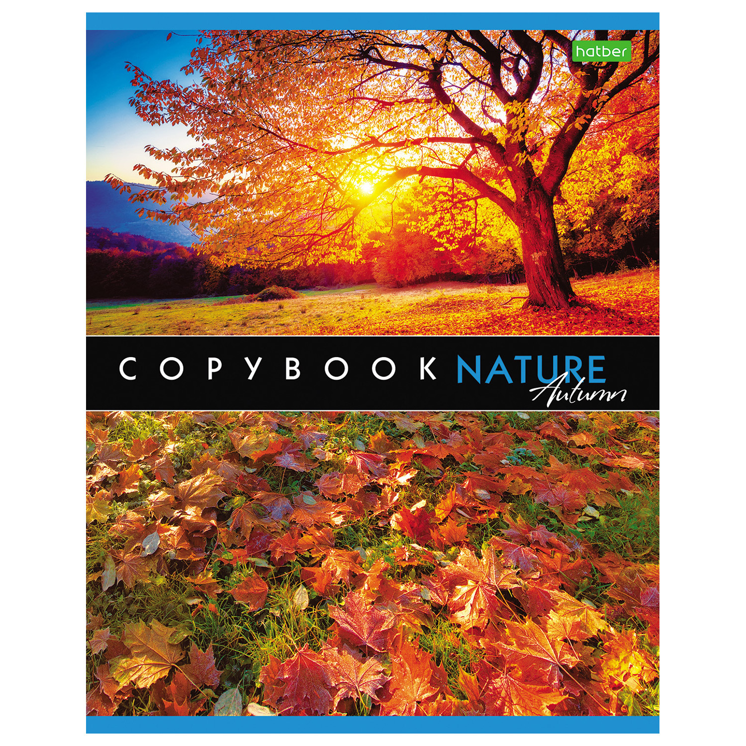 Общая тетрадь Hatber клетка 48 лист. в ассортименте - фото 2