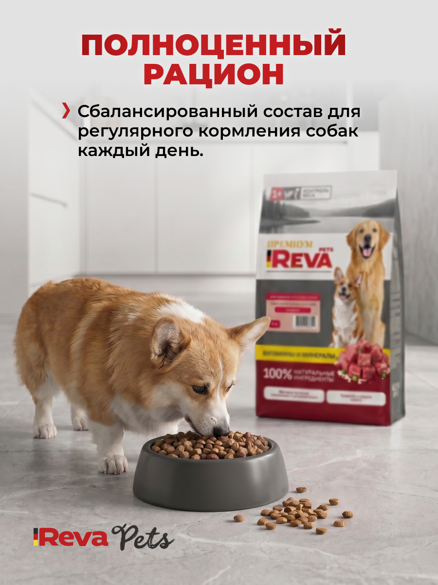 Корм для собак Reva Care сухой полнорационный для собак всех пород с говядиной, 2 кг - фото 6