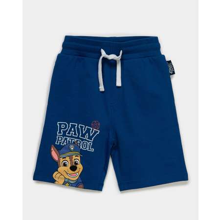 Шорты Paw Patrol