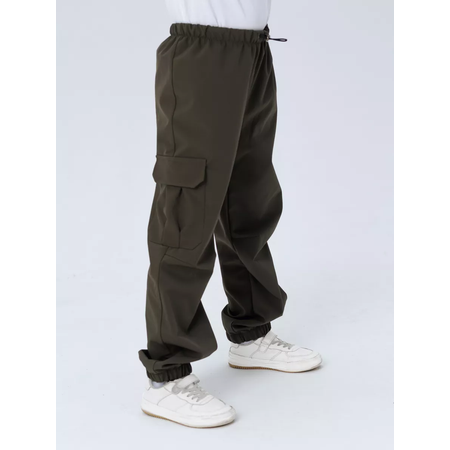 Брюки Lemonwear