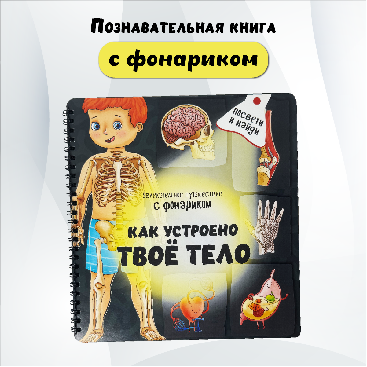 Детская книга БимБиМон с фонариком Как устроено твое тело - фото 1