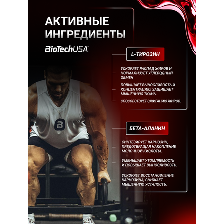 Предтренировочный комплекс BiotechUSA Black Blood CAF+ 300 г. Голубой виноград