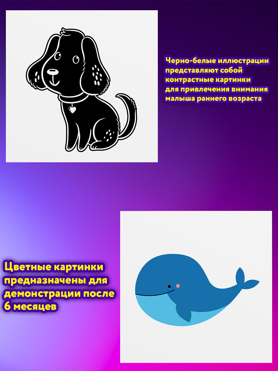 Развивающие карточки Юнландия для новорожденных 6 книжек для развития зрения с пеленок - фото 7