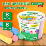 Мел сухой Brauberg 8 шт.