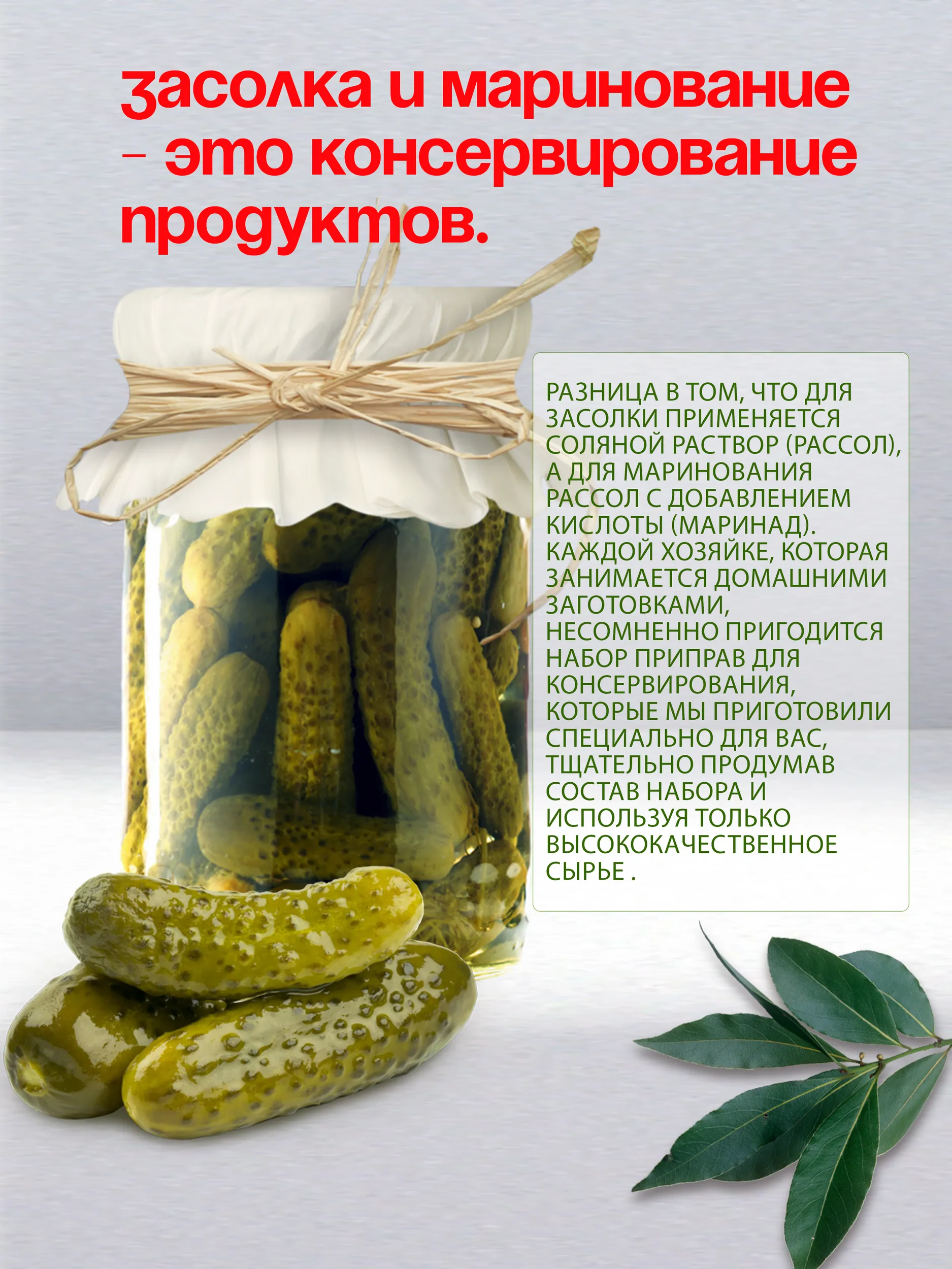 Приправа для соления маринования огурцов Эстетика вкуса без соли 5 пакетиков - фото 5