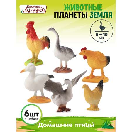 Игровой набор DARWIN Животные Домашние птицы 6шт