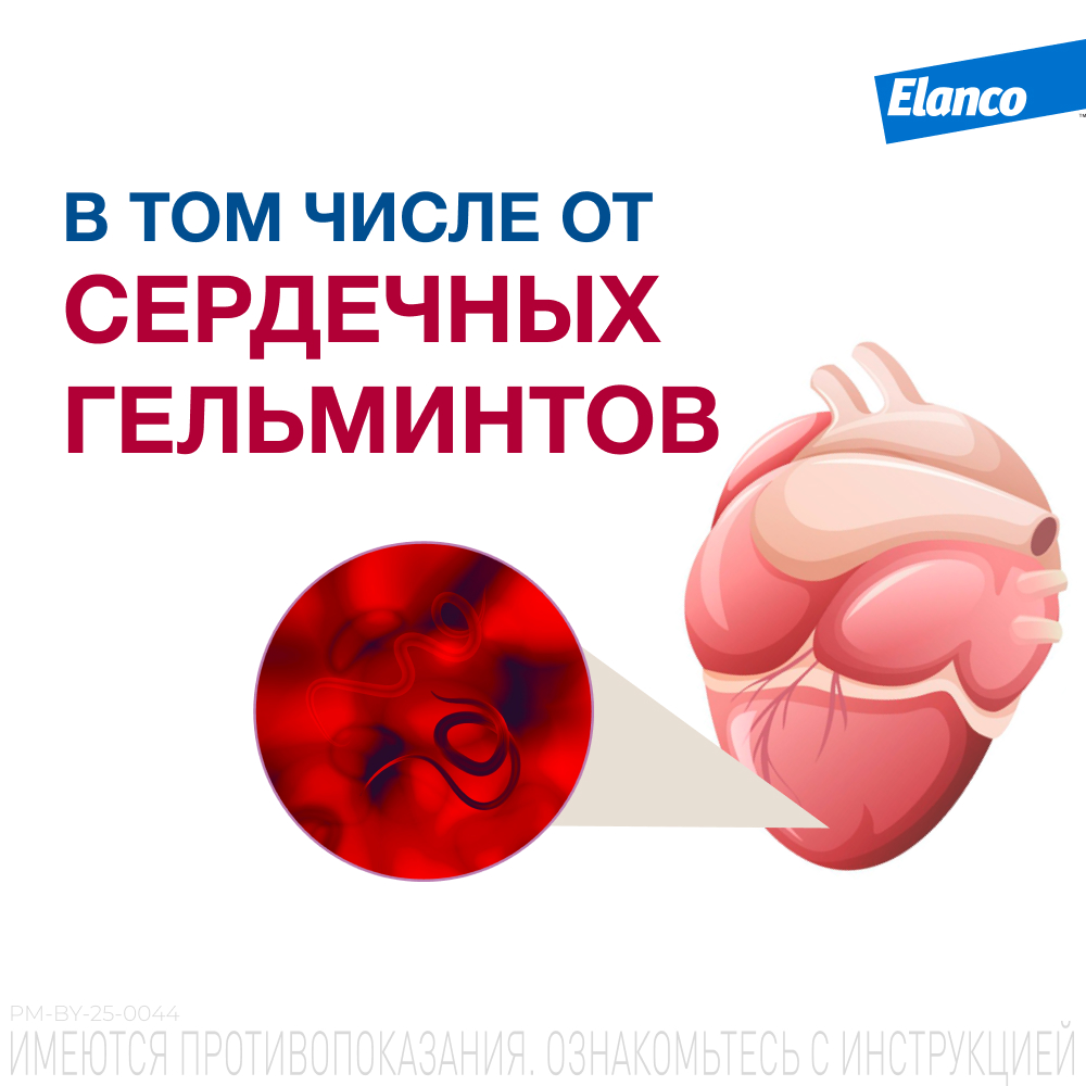 Антигельминтик для щенков и собак Elanco Мильбемакс малых пород 2таблетки - фото 5