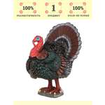 Игровой набор Masai Mara Индюк на ферме