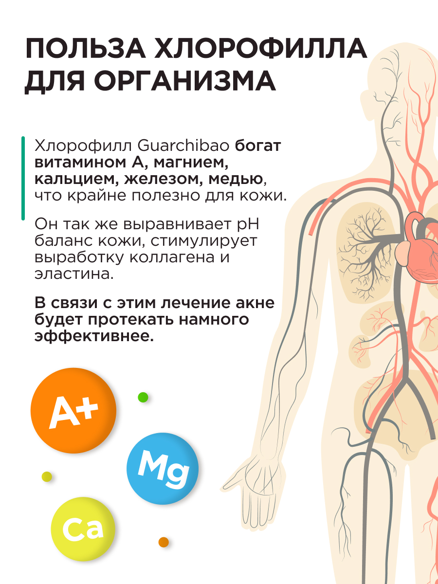 Мята и Виноград Guarchibao Хлорофилл - фото 9