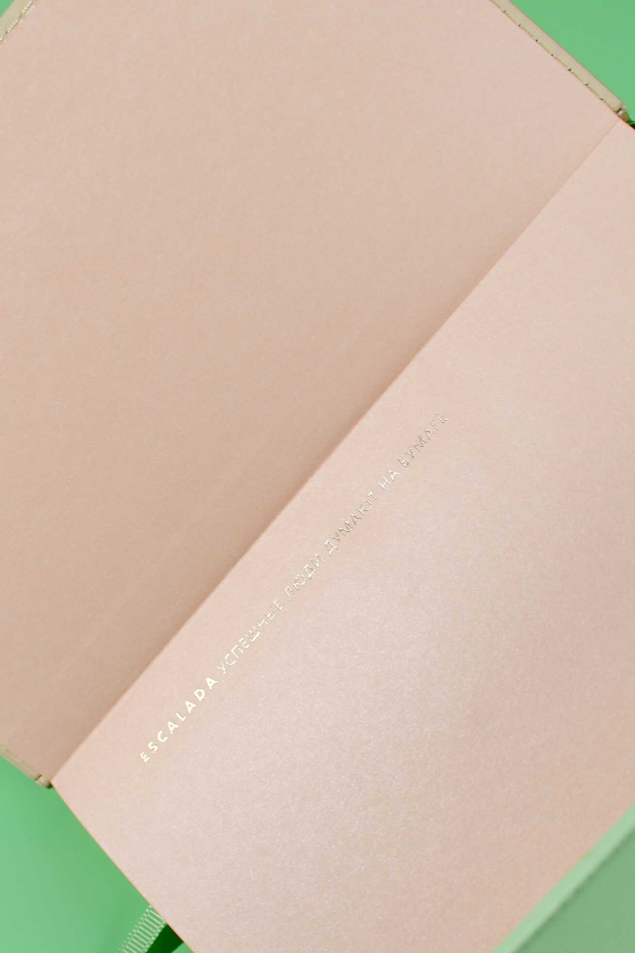 Ежедневник Феникс + ESCALADA 120 лист. - фото 10