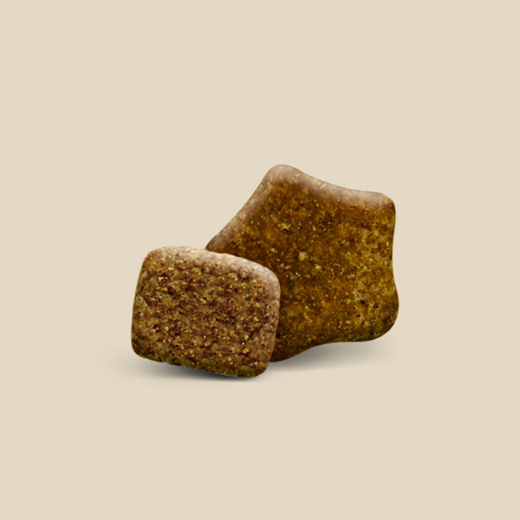 Корм для собак Dog Chow старшего возраста с курицей сухой 14кг - фото 8