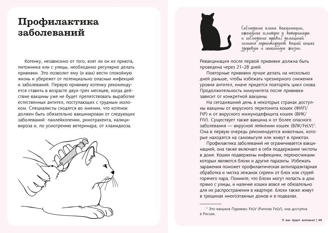 Книга КОЛИБРИ Эрколе Э Гладить Кормить Любить - фото 12